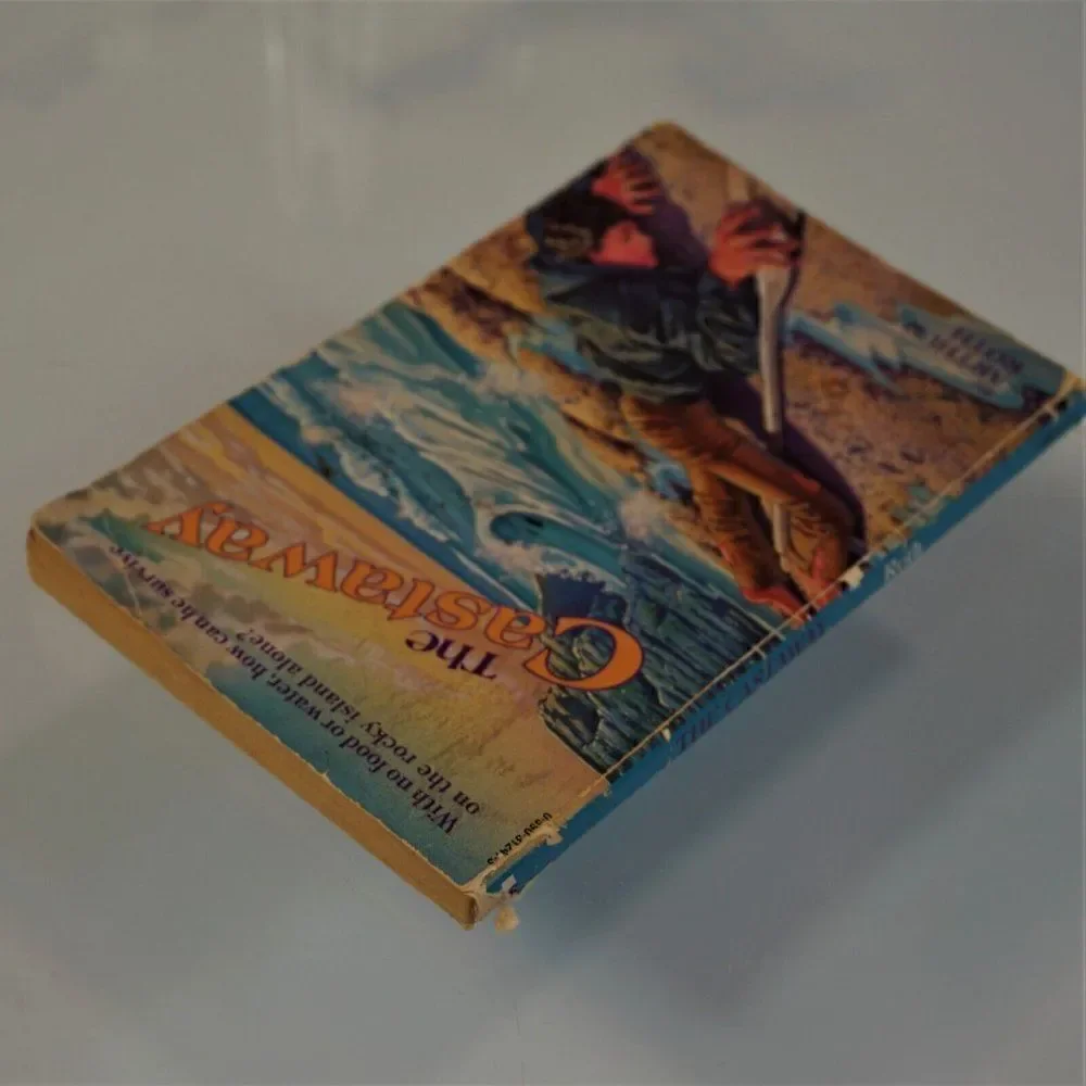The Castaway by Arthur J. Roth Vintage 1983 Scholastic Paperback Juvenile